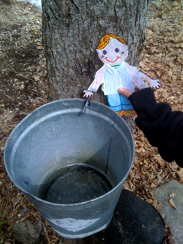 flat-stanley-photo